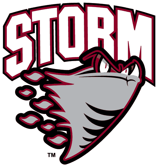 Guelph Storm 1995 -pres primary logo iron on transfers for T-shirts